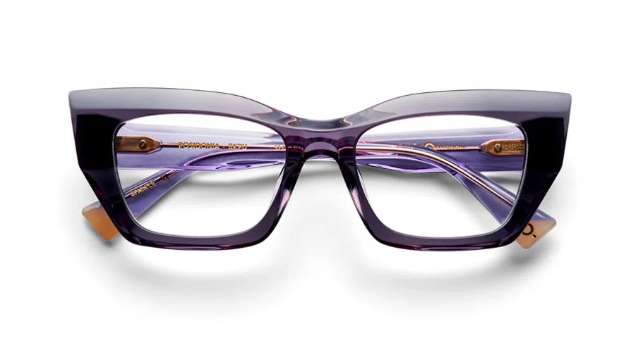 Etnia Barcelona POSIDONIA Eyeglasses - view 11